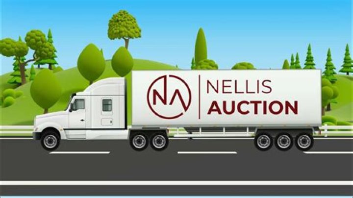 The Nellis Auction Return Policy Decoded